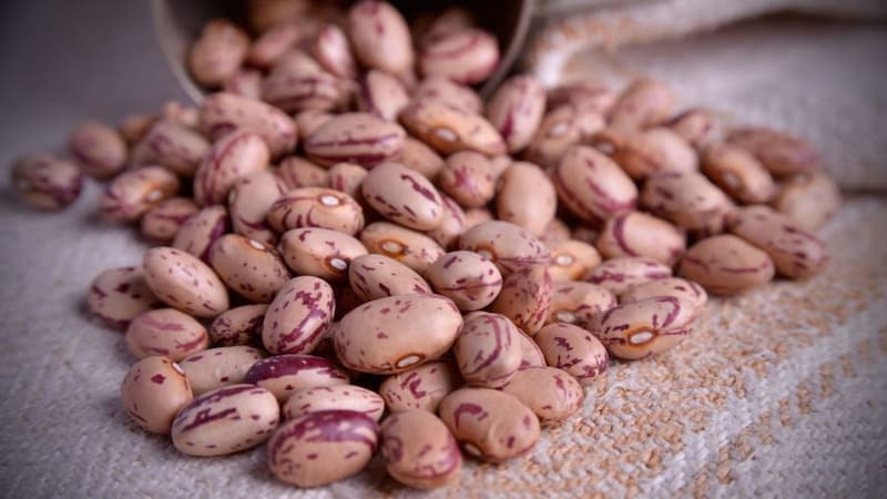 فروش لوبیا چیتی ریز + قیمت خرید به صرفه